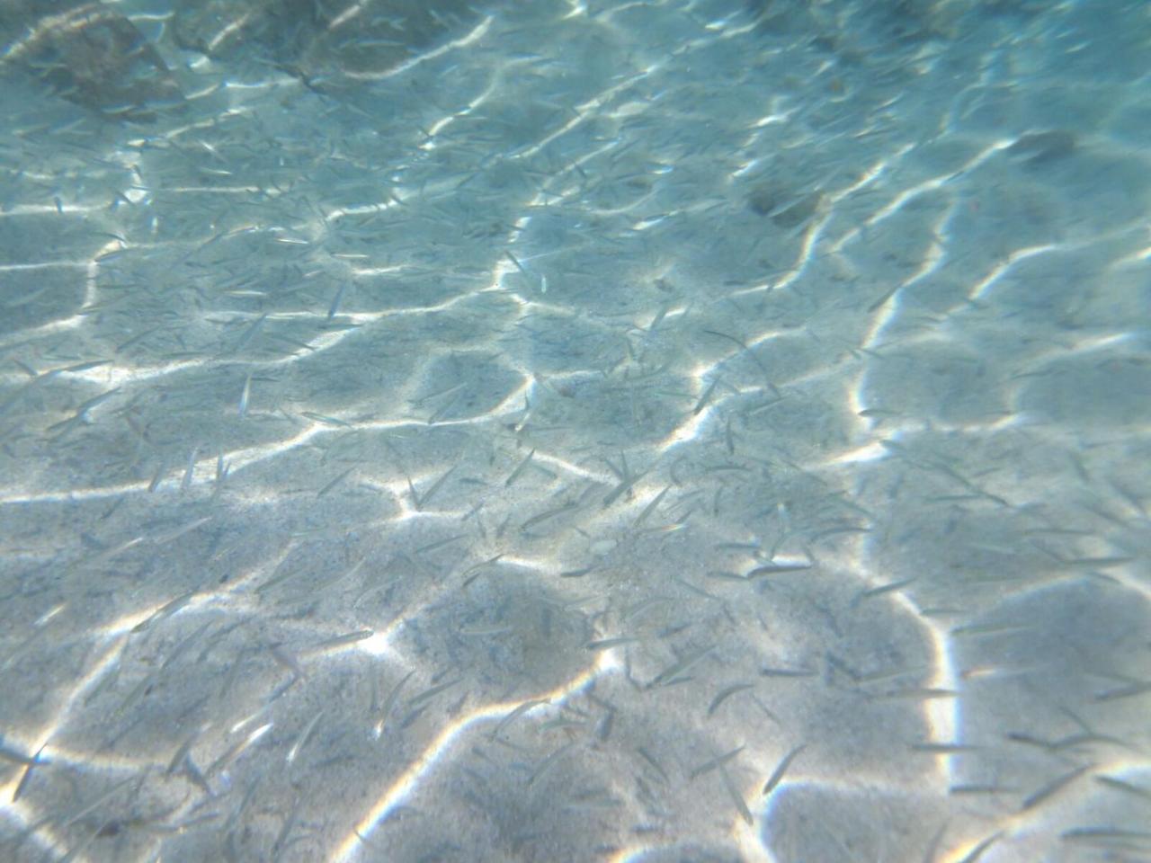 Hotel Valemare Tropea Luaran gambar